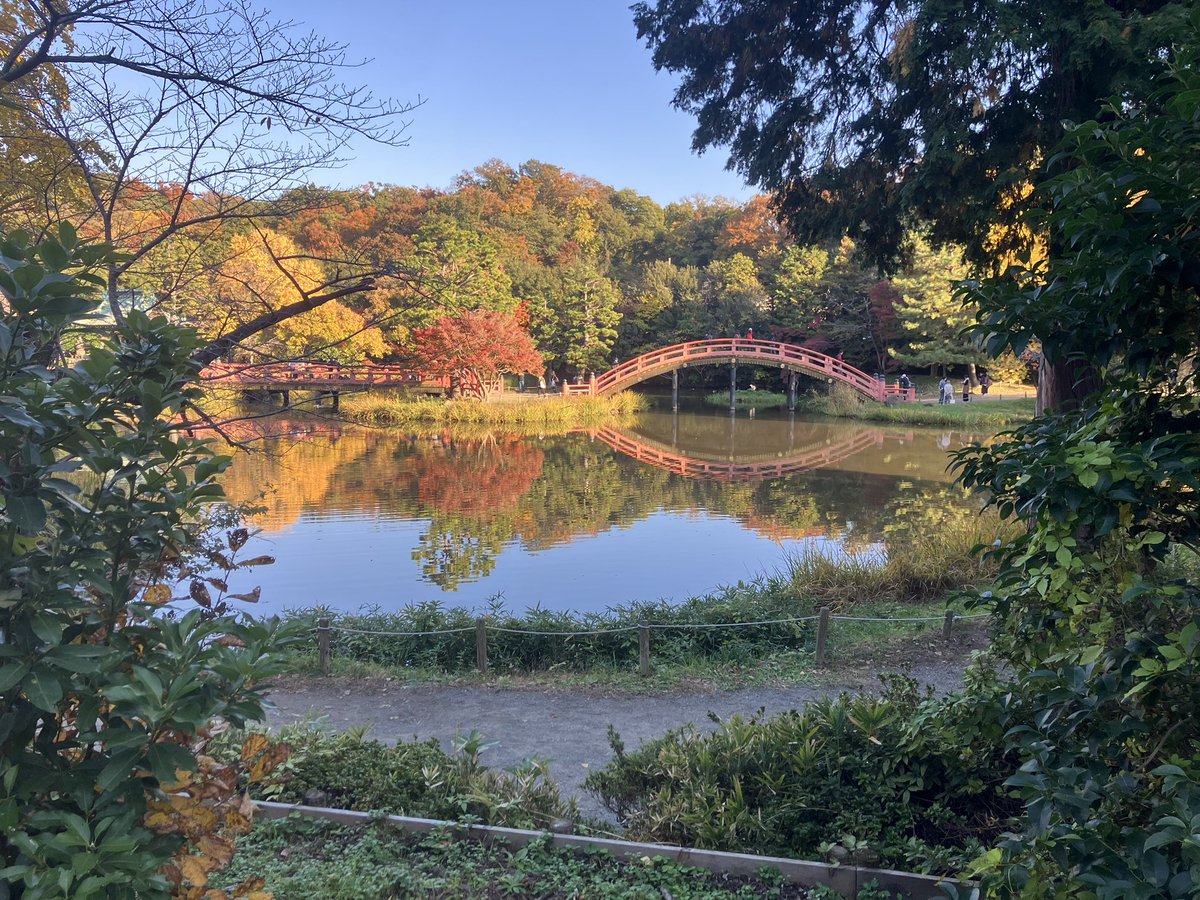 mimimi1330ko's tweet image. 紅葉！
水面に映るのが綺麗☺️