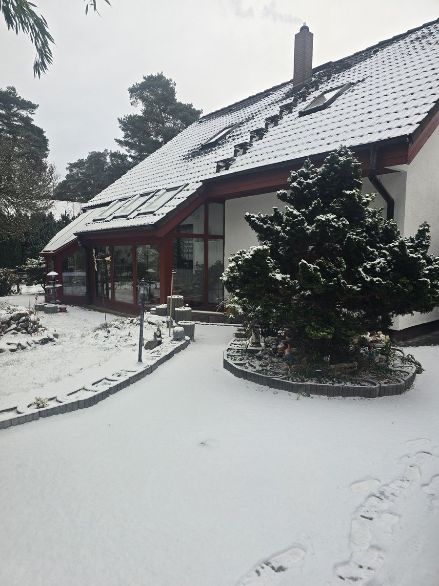 Angelika tweet media