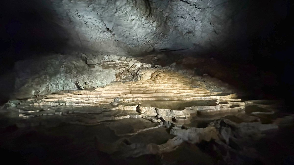 日本最大級の鍾乳洞「秋芳洞」絶景すぎた。
写真越しじゃ全く伝わらないくらい肉眼で見てほしいと思った場所。
この活動していなかったらもしかしたら来れていなかった場所かもしれない、皆様に感謝🙏
動画も撮ってきたので後日散歩chに投稿します。