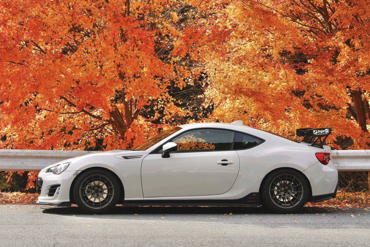 tomliiii7412's tweet image. 綺麗なサイドショット撮って頂きました🍁