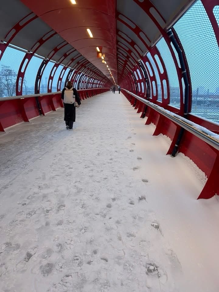 Eva_CZ1's tweet image. Via fb 🤣 je to tady zase 🤣Krytá dráha pro běžkaře v Pardubicích připravena 😀🤣🤣🤣 po těch namrzlých nejezdících schodech by to bylo nejlepší vzít po zadku😂