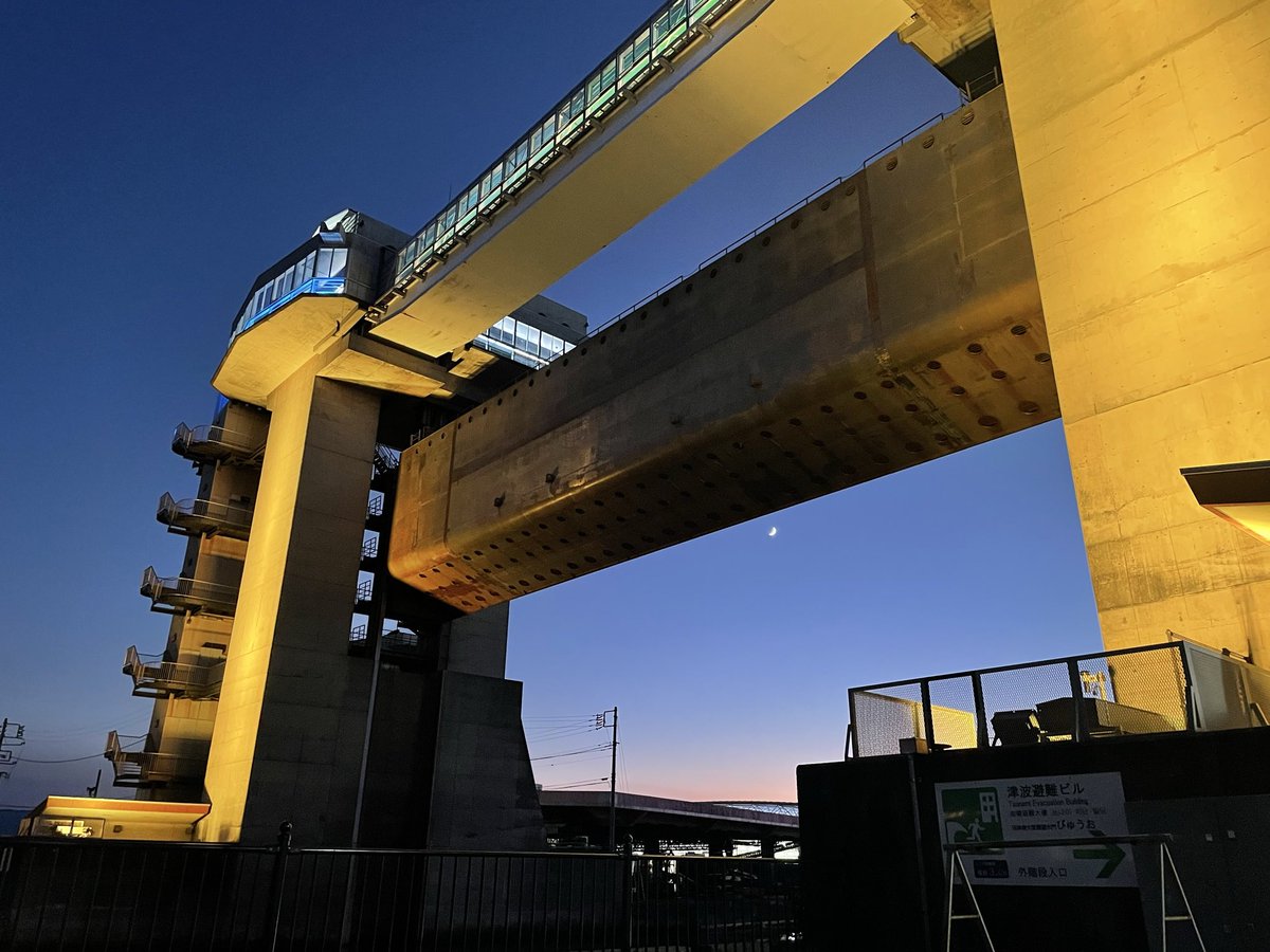 びゅうお tweet media