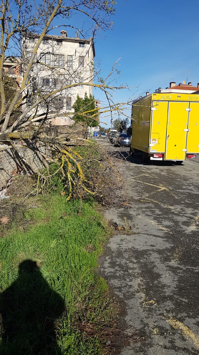 En 2015 se aprobó la esta moción:
iusantodomingo.blogspot.com/2015/11/mocion…
Se hizo un paso para peatones y se marcó la zona de vehículos.
La mejora de la iluminación nunca llegó. 
Pero tras una falta de mantenimiento, la hierba se ha comido el paso y las líneas están borradas.
Es urgente actuar.