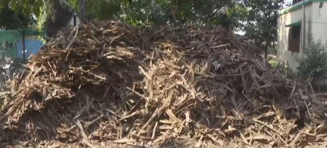 Interstate Kher Wood Smuggling Racket Busted in South Gujarat; 19 Held |  DeshGujarat