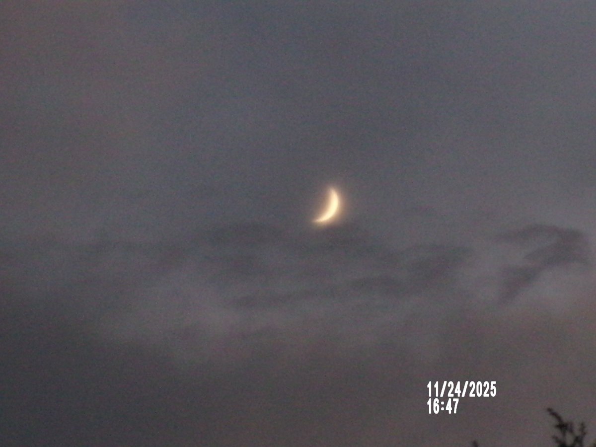 11/24日（月）。今夕、この辺りで見えた「月齢 3.8の細いおぼろ月