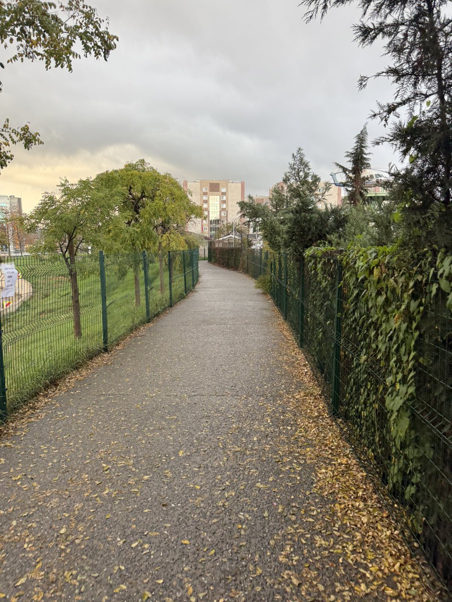 ☔️ 🍁 🍃 havalar serinliyor…