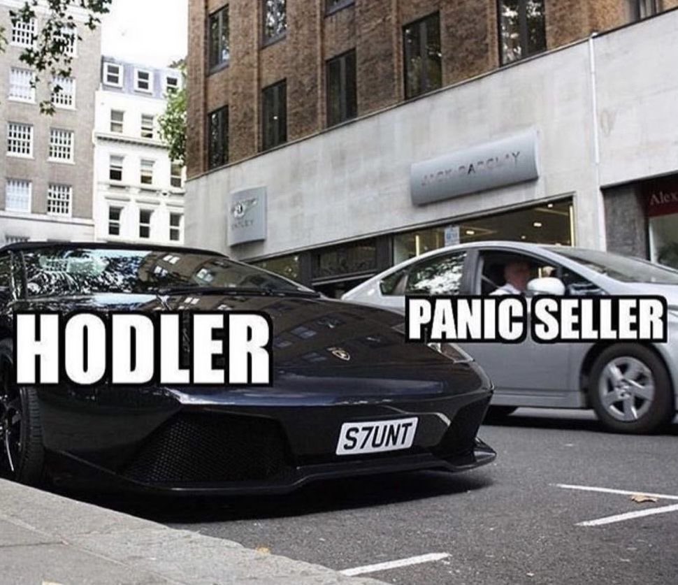 Mrcryptoxwhale's tweet image. Two types of crypto bros: 

Holders 💎

Panic sellers🫨

What are you? 👇