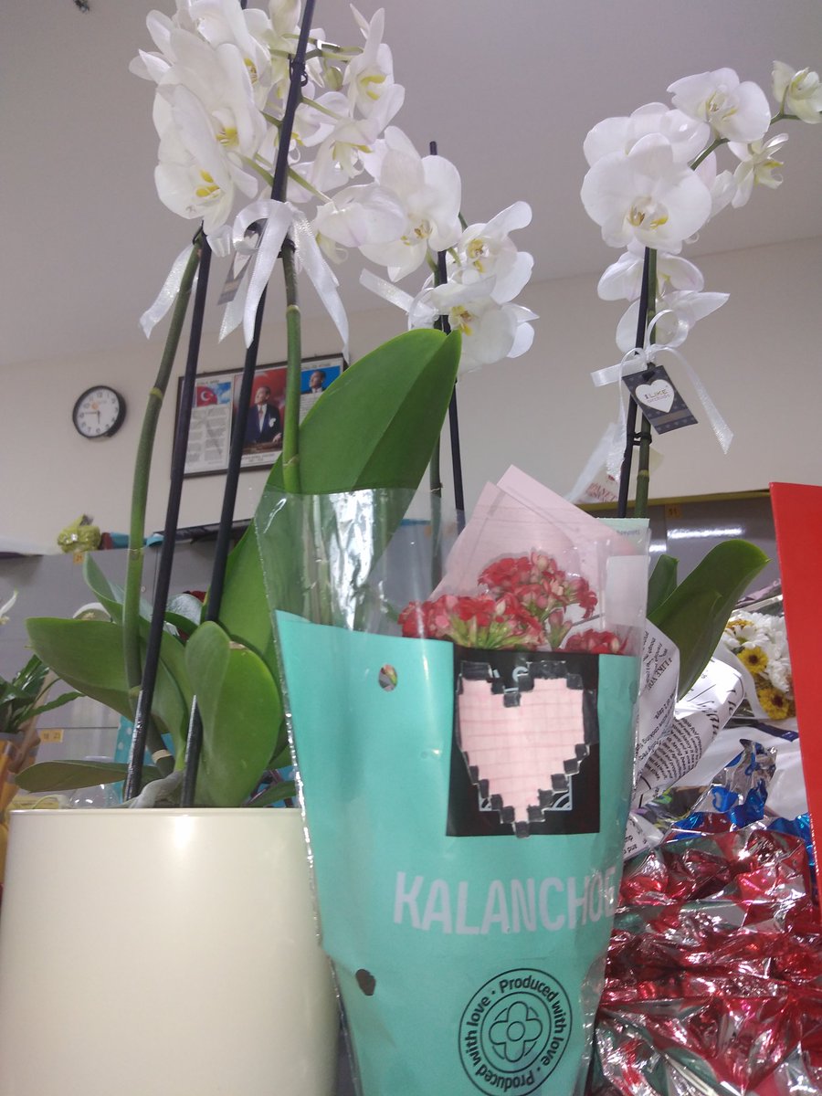 Bir gün vade dolduğunda öğrencilerimin kalbine gömsünler beni
O kalplerin kucağında bir Fatiha ile sevindirsinler beni. S. Güneş
#ÖğretmenlerGünü
#24Kasım