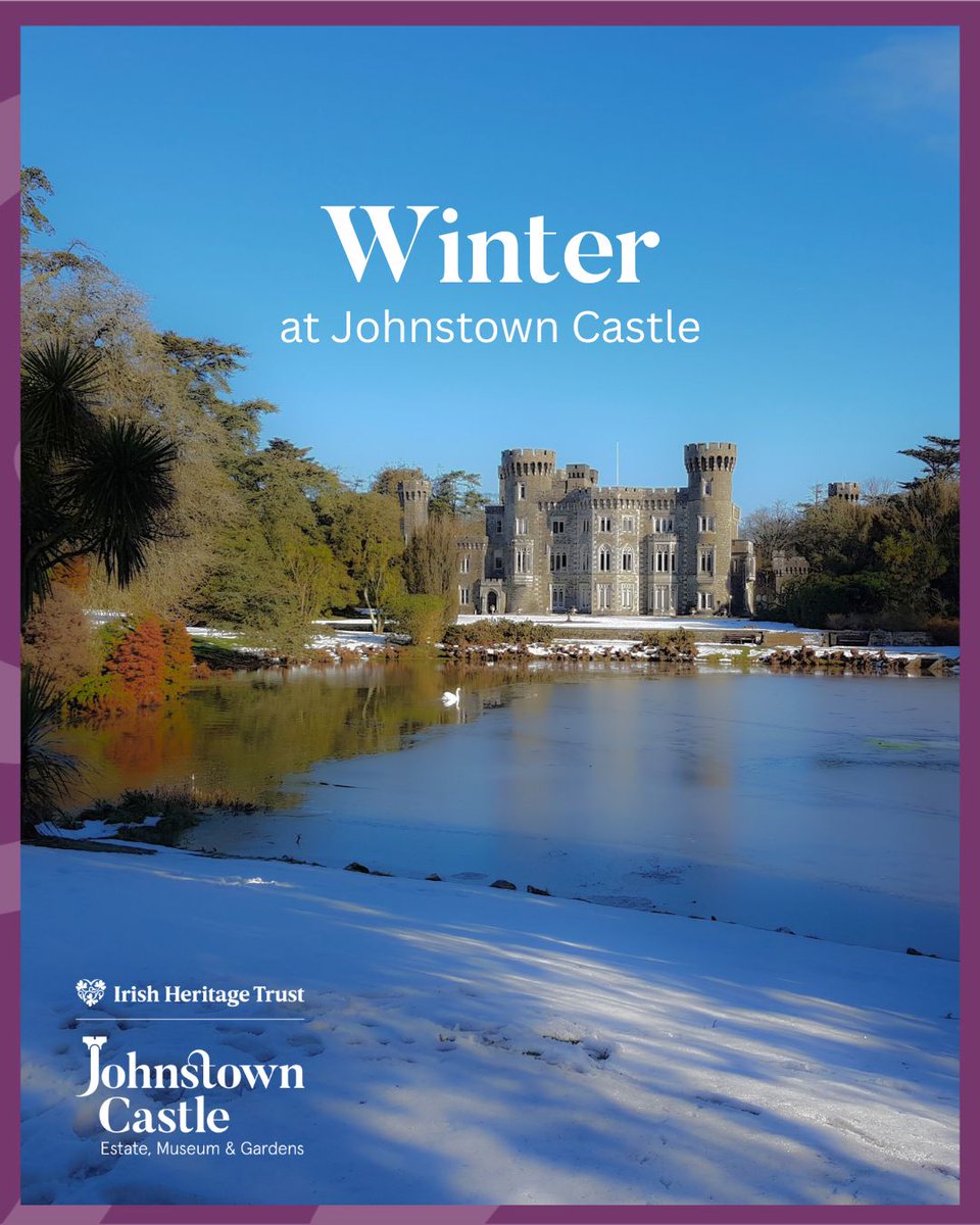 Winter at <a href="/johnstowncastle/">Johnstown Castle Estate, Museum & Gardens</a> brings crisp lakeside views, quiet woodland paths and important seasonal conservation work. Our team continues to support biodiversity and sustainability across the estate - a beautiful time for a winter walk. Members can enjoy it all year round.