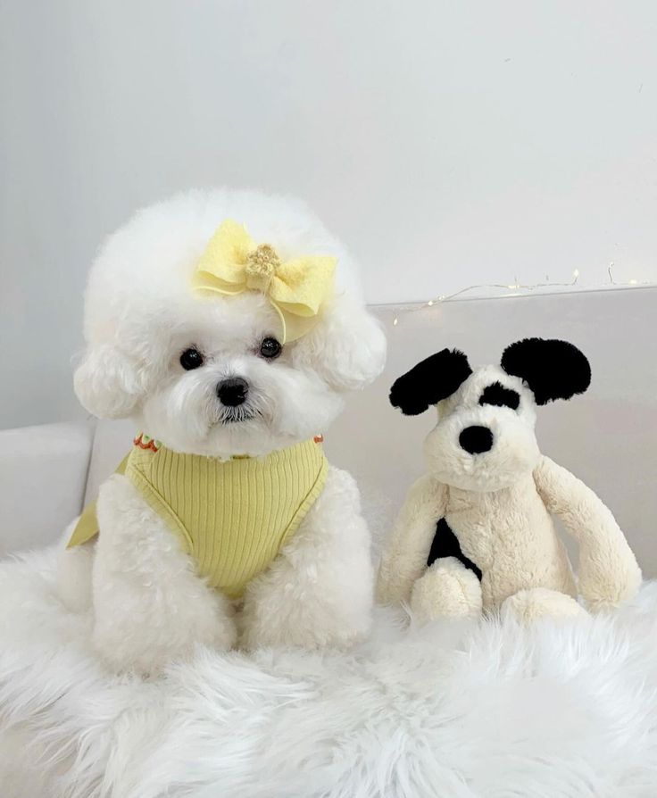 coding_pri3641's tweet image. 