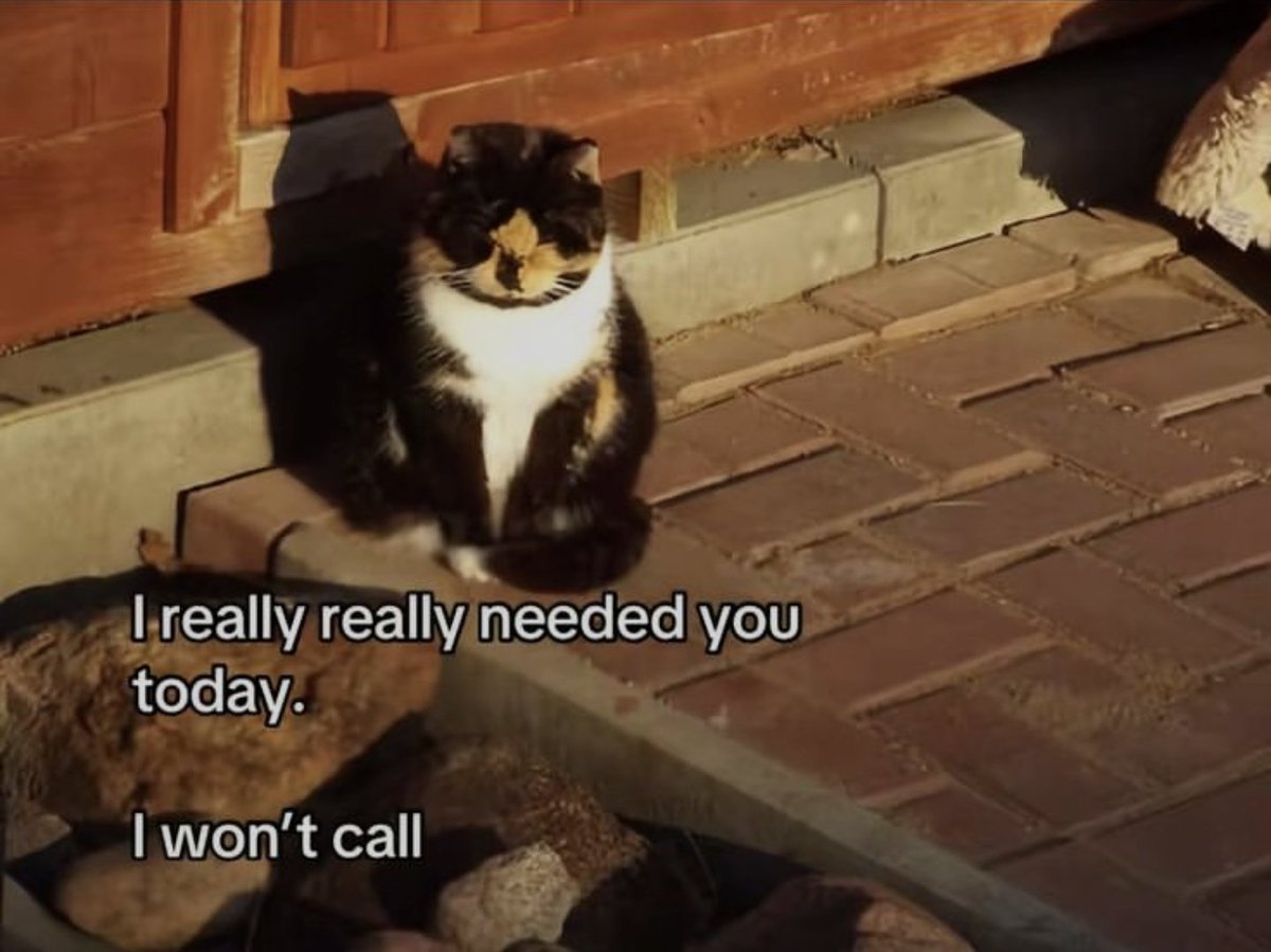 lovedropx's tweet image. 