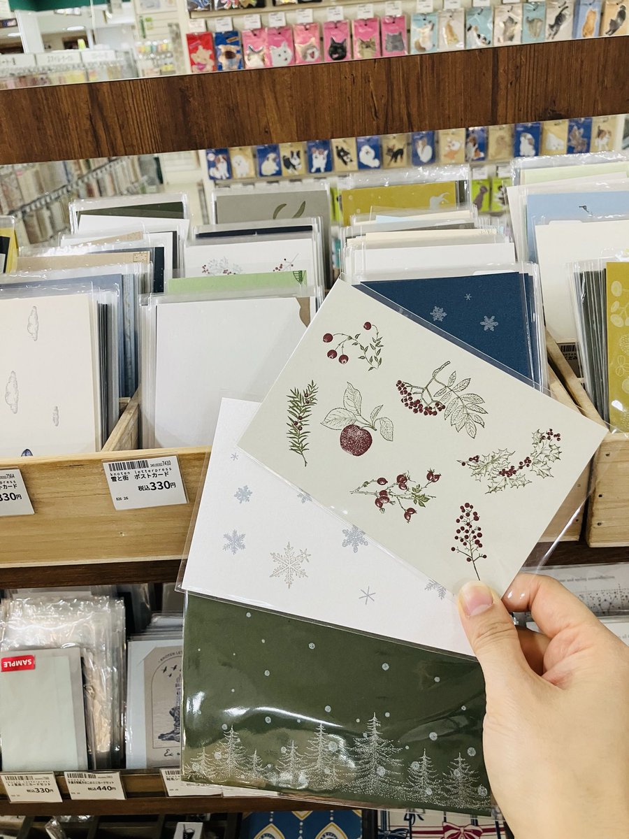 信州 橋カード 11枚 セミコンプリート コレクションファイル付き 長野