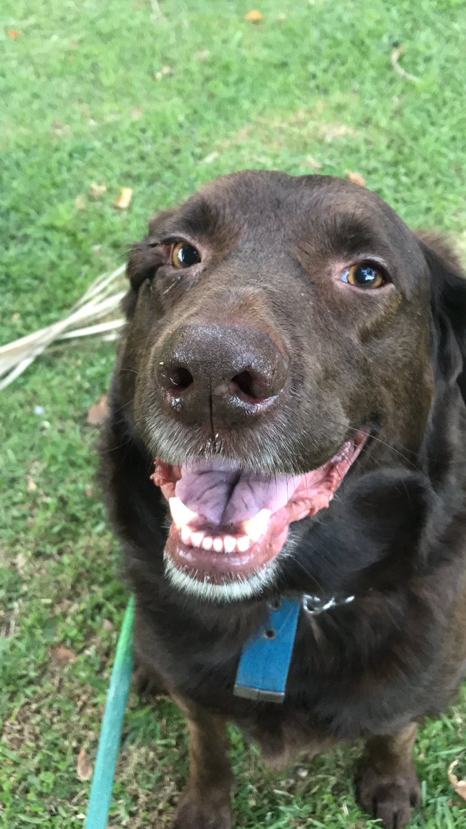 MaggeDelbene's tweet image. Buen día! #Darwin