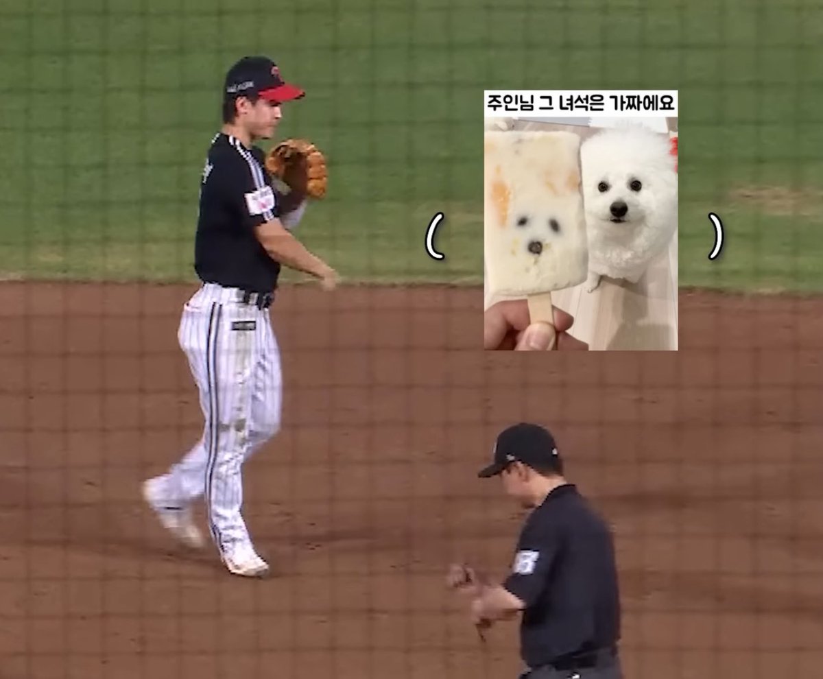 st1llmound's tweet image. 쥰나 웃겨 아