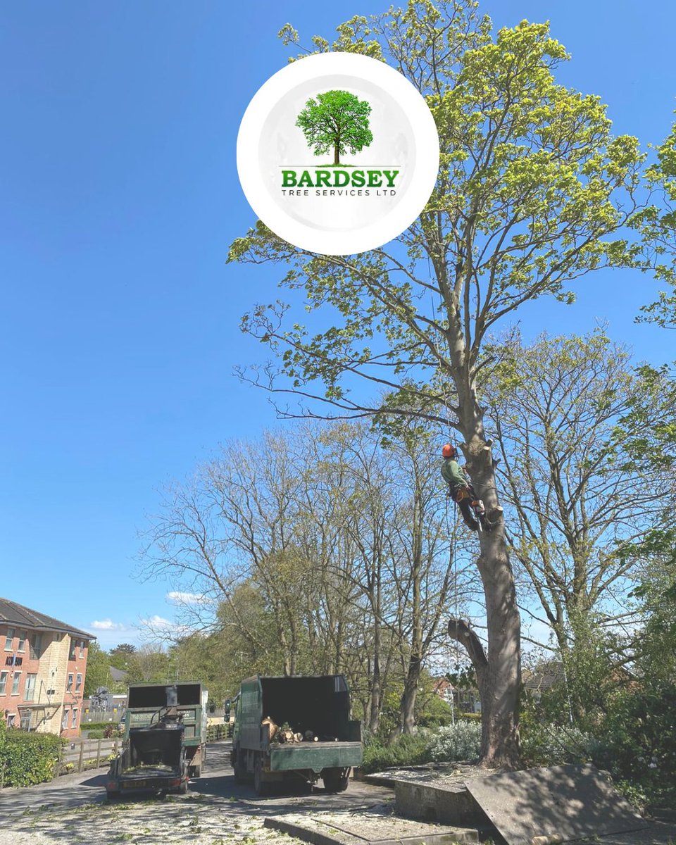 bardseytrees's tweet image. #TreeFelling vs #TreeRemoval - what&apos;s the difference?🤔

Tree felling focuses on cutting down the tree itself whereas tree removal can include stump removal &amp;amp; site restoration🌳

Need our help? Get in touch

📞01937 573689
📧info@bardseytrees.co.uk
🌳bardseytrees.co.uk