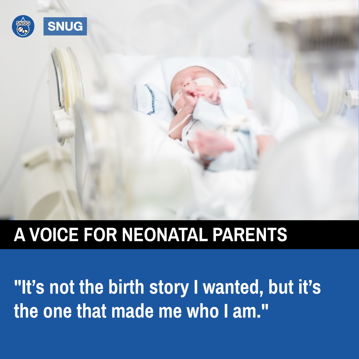 SNUG in Devon tweet media