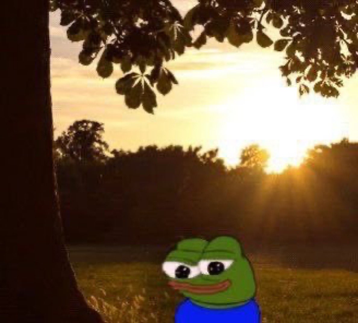 itx_gunner's tweet image. Gm CT ☕️ 

dont know why it doesn’t feel like a Monday 

the TL looks so dry, are you guys giving up already? 

Let’s keep showing up regardless of market conditions. 

WAGMI