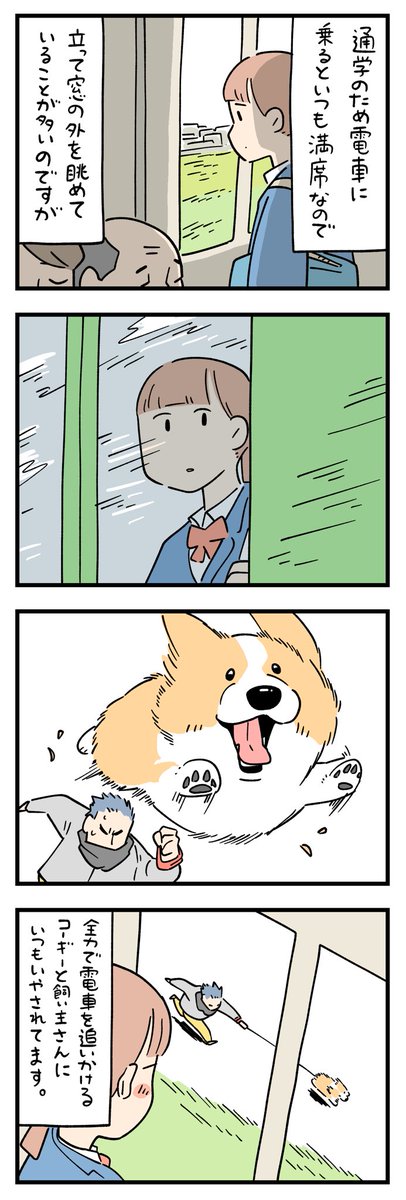 さっちん様☆専用ページ S-4003 | 株式会社福井金属工芸 ピクチャーレール