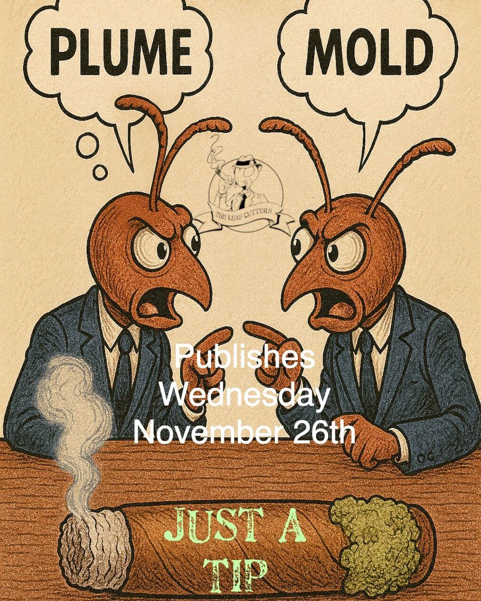theleafcutters's tweet photo. This week’s Just A Tip breaks down the plume vs. mold debate. What’s harmless, what’s harmful, and how do you protect your collection? A quick lesson every smoker should know. Watch, learn, and share with anyone who’s questioned that white dust!
#JustATip #LeafCutters #BackPorch https://t.co/HhqgoCuDLC