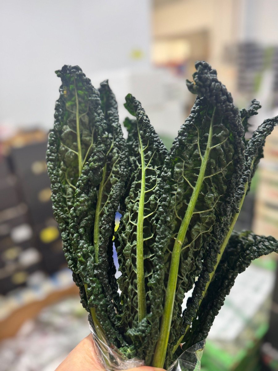 Kale that behaves: tender, punchy and ready for the pan. Chefs, your mise just got greener.

Crispy, braised, blitzed -  kale doesn’t judge your technique. Need some? 01380 860968.

#wiltshirechefs #hampshirechefs #somersetchefs #bristolchefs #bathchefs #cotswoldschefs