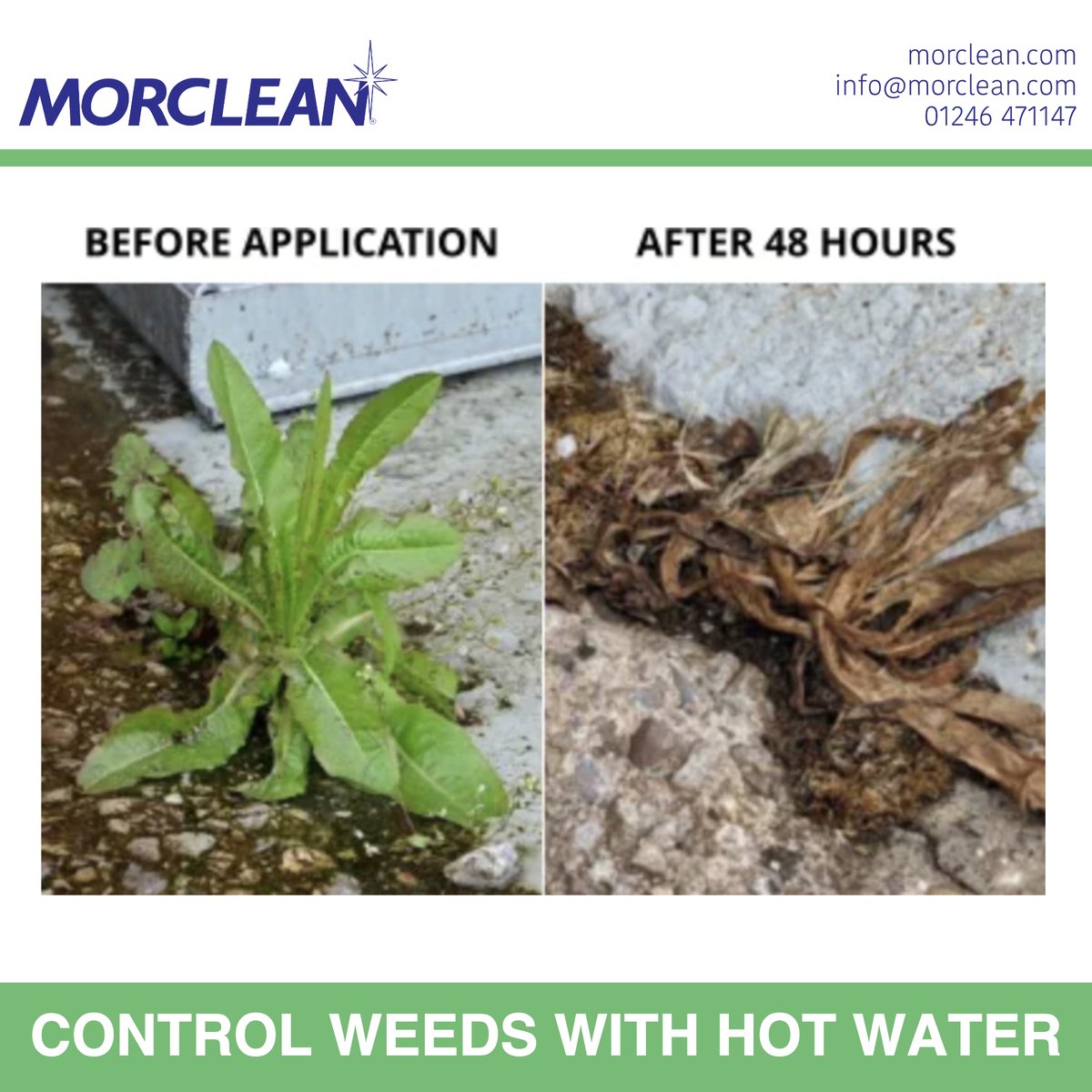 Morclean’s Weed Control system uses just hot water — no toxins, no residue, no glyphosate. It’s simple, safe, and powerful: weeds wilt immediately, then die within 24-48 hours as the heat penetrates to the root. 
Find out more: ow.ly/WQWy50XwHxm