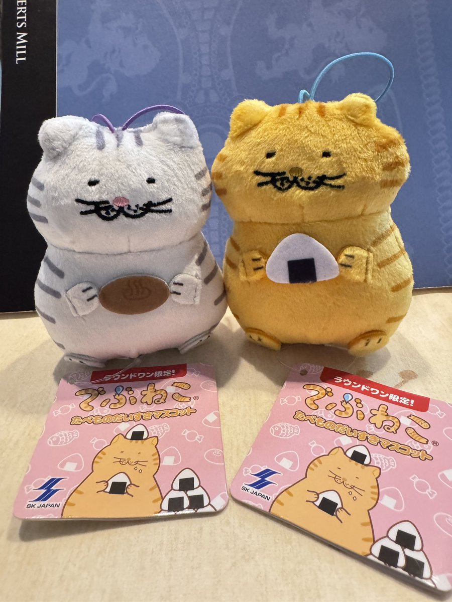 Mike_Chatora3's tweet image. 茶トラちゃんとグレートラちゃんをお迎えしましたニャ〜😸
赤ちゃんみたいで可愛いニャ〜〜😻💖

シロちゃんとターキッシュちゃんも来てほしかったのだけど難しくて……😿

#でぶねこ