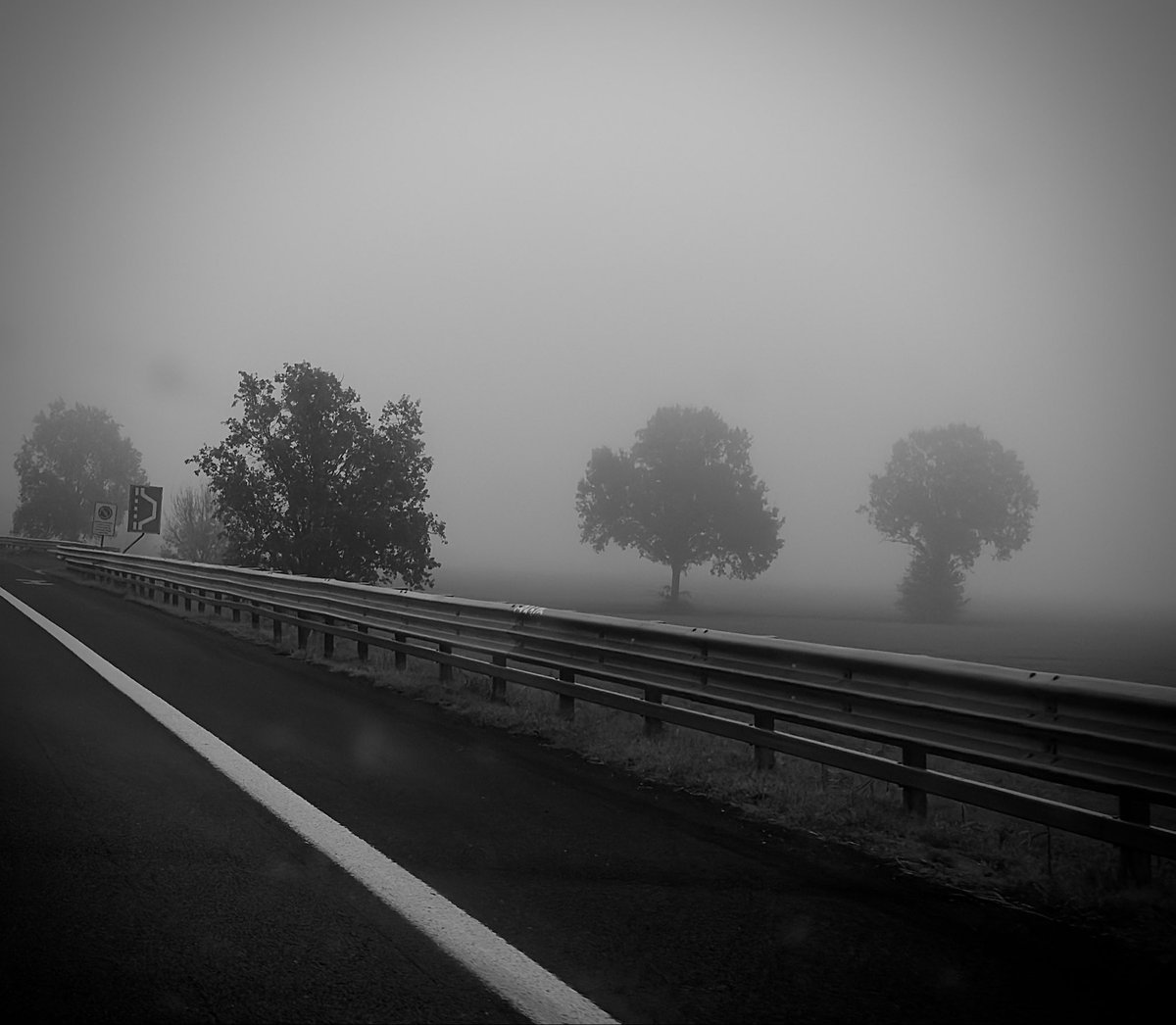 photoroma69's tweet image. Stories from #binario2

You left the train in Bologna and now you’re driving alone up the A1, hidden in this fog that’s carrying you toward Milan. There, another #platform2 is waiting for you, another train, and a city you stubbornly refuse to name. It will be the photos you take