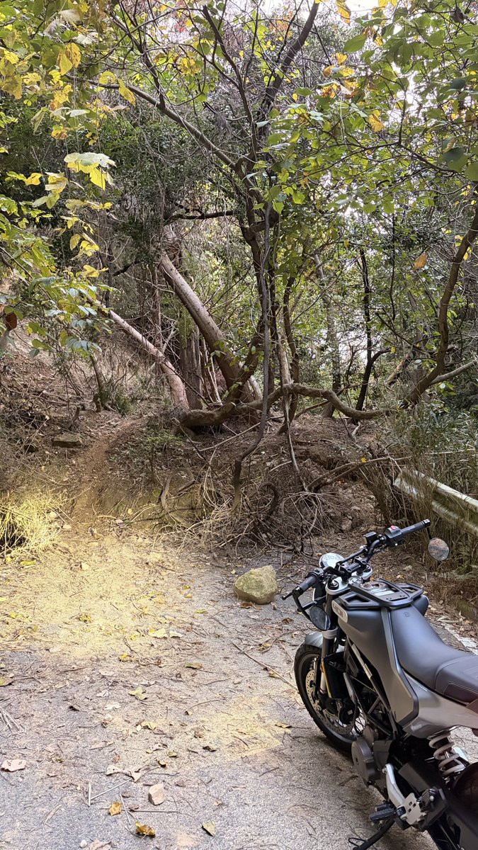 そろそろお山遊びしようと思ったらこれ
まだしばらくアスファルト続くはずなんだが、、
