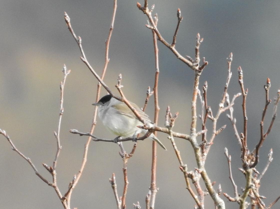 J@a.p (@jose_ap19) on Twitter photo 