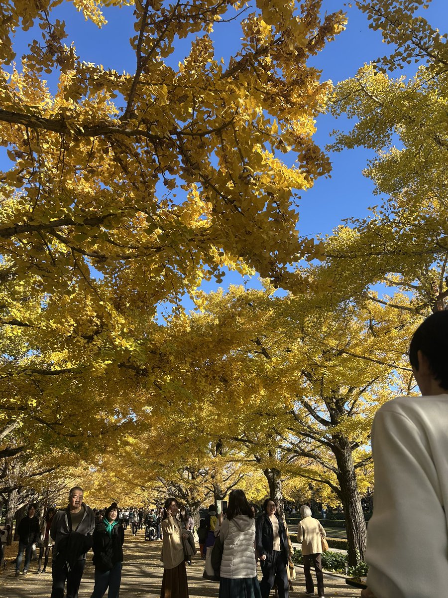 2020nnna's tweet photo. 仲良しセフちゃんと公園行ってきた。
12月も遊びまくる #井上式アプリ攻略 https://t.co/jgeWt1rqCL