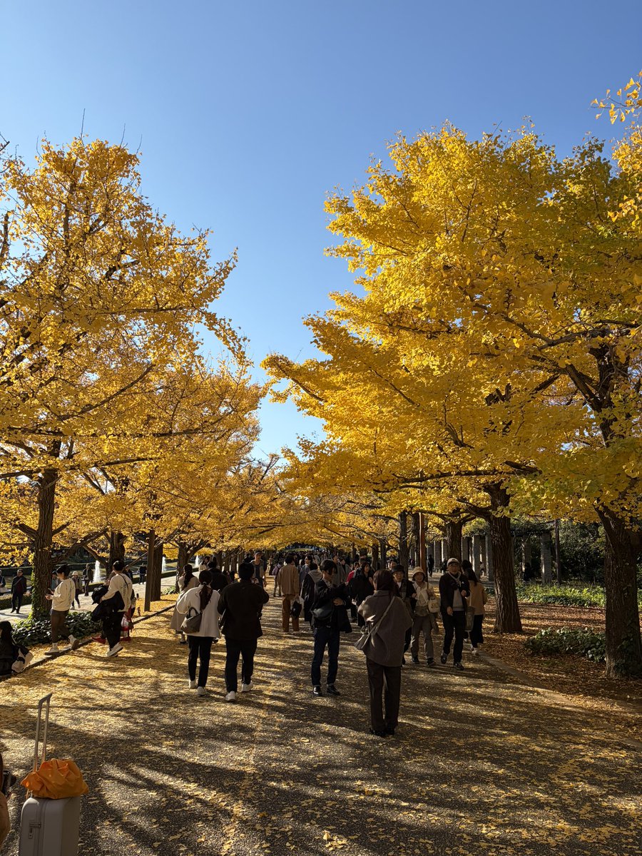 2020nnna's tweet photo. 仲良しセフちゃんと公園行ってきた。
12月も遊びまくる #井上式アプリ攻略 https://t.co/jgeWt1rqCL