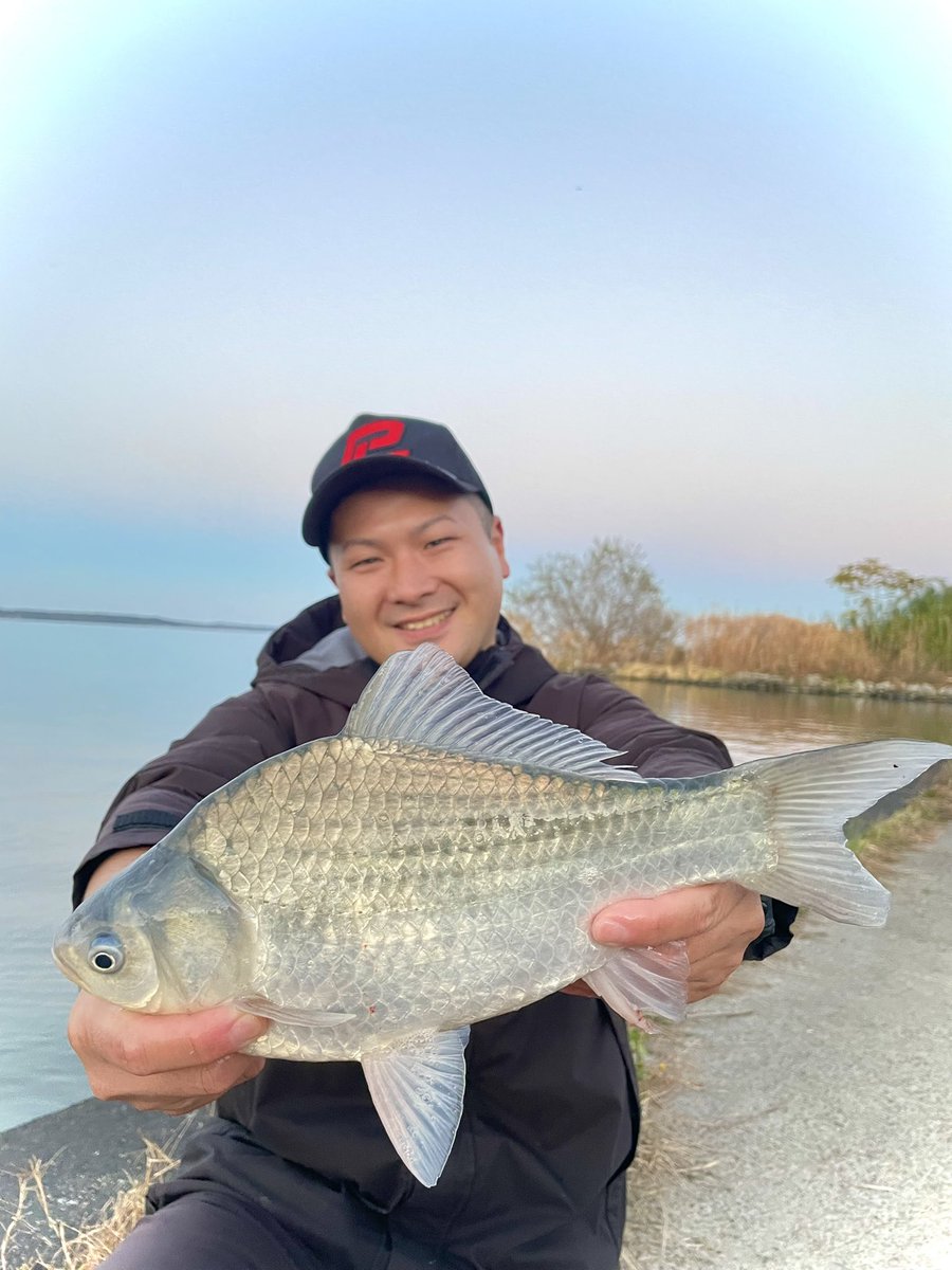 かねやん釣行遊戯録 (@kaneyan_youtube) / Posts / X