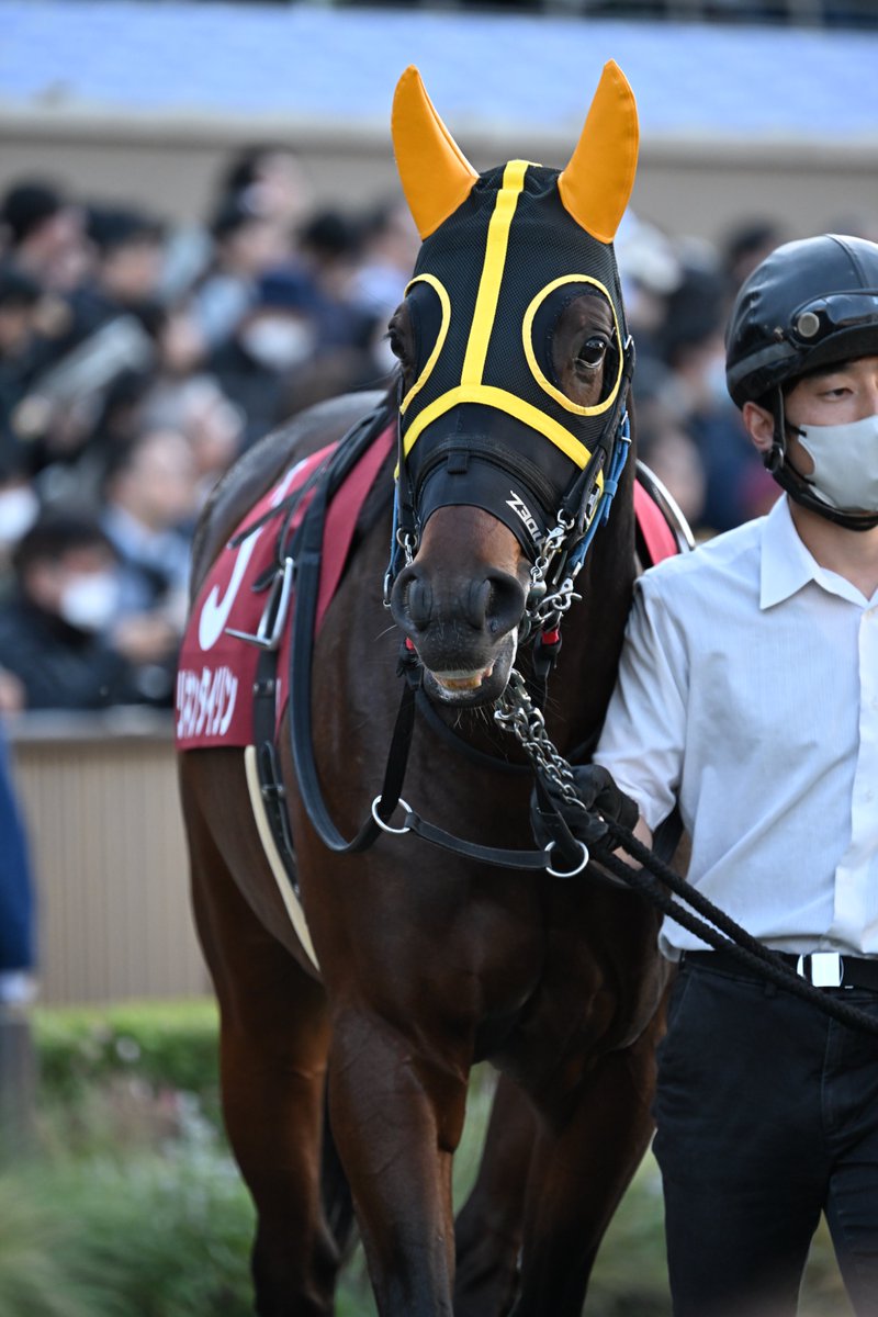 もんちゃん＠写真垢 (@mnch_pic) / Posts / X