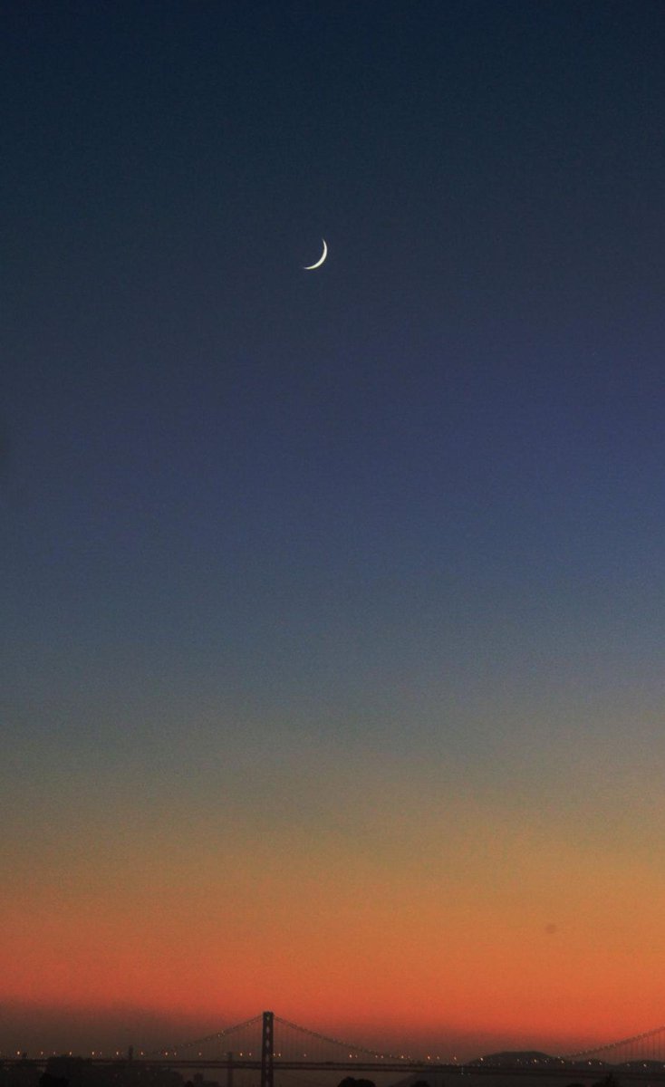 もやしの逆襲キング991 tweet media