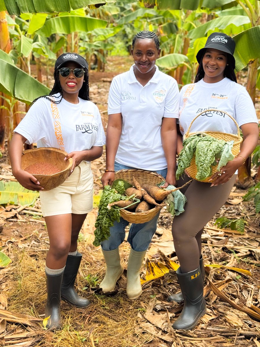 Escape the ordinary and enjoy wholesome family moments surrounded by nature this festive season from 24th - 26th December.

The cozy ambiance at <a href="/kaynelafarmsltd/">Kaynela Farms Ltd</a> makes bonding feel easy, warm, and beautifully intentional.

Book now for a family package for the