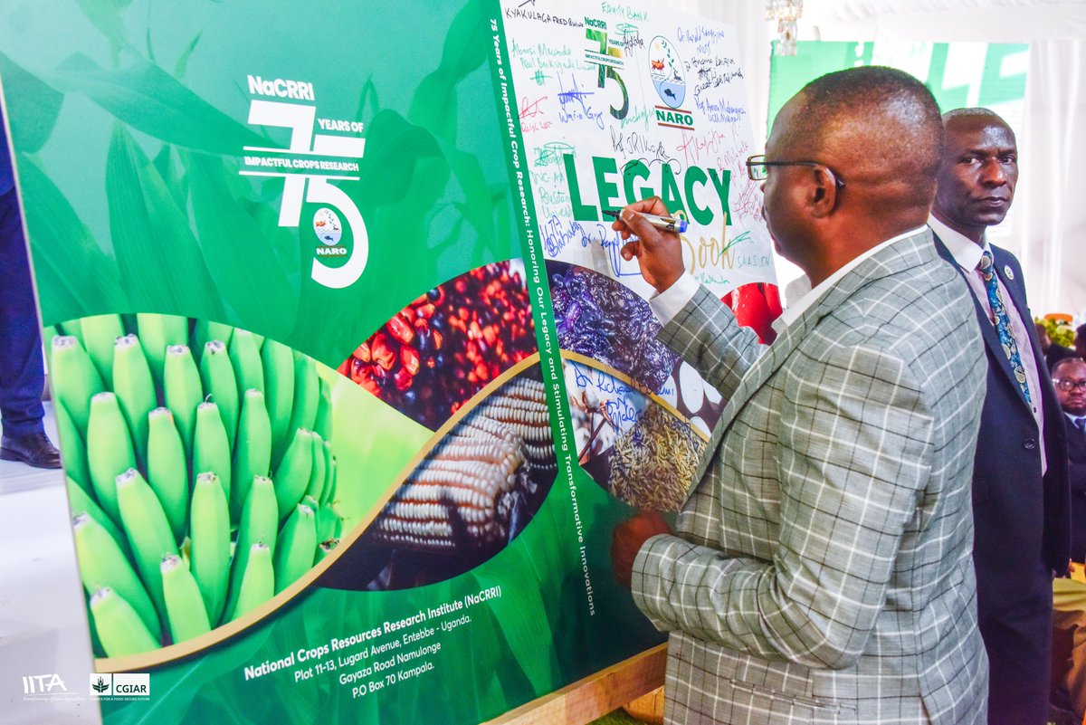 IITA_Uganda's tweet photo. 🥳🎊🥳🎉Congratulations to @NARO_NaCRRI on 75 years of driving agricultural innovation! @IITA_Uganda is proud to partner with @narouganda in transforming Uganda's agriculture and we look forward to continued collaboration. Here's to many more years of growth and impact! 🍾🥂 https://t.co/YN8nFelvpv