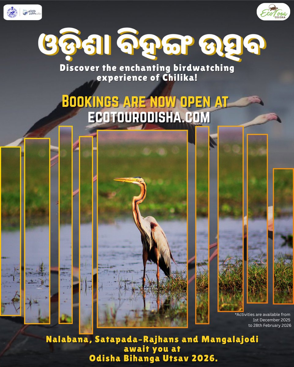 PCCFWL_Odisha's tweet photo. Discover the enchanting birdwatching experience of Chilika!

Nalabana, Satapada–Rajhans and Mangalajodi await you at Odisha Bihanga Utsav 2026.
Secure your spot now at 👉 https://t.co/FwxjLMpDCe

#BihangaUtsav2026 #ChilikaLake #WildlifeOdisha #ExploreOdisha #EcoTour https://t.co/7ujofVpB8J