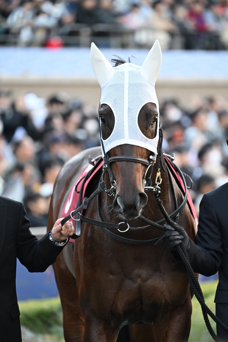 もんちゃん＠写真垢 (@mnch_pic) / Posts / X