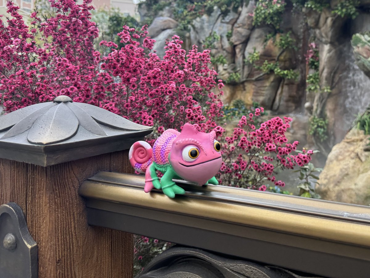 Dai@ (@3559dai) / Posts / X