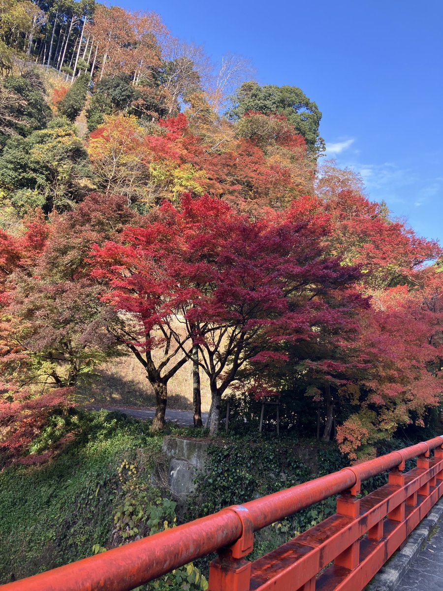 吉川慶 / Kei Yoshikawa (@yoshikei_11) / Posts / X