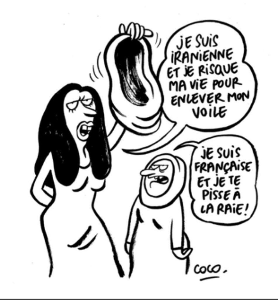 francaislaic's tweet image. Les musulmanes Françaises bien intégrées 🤡