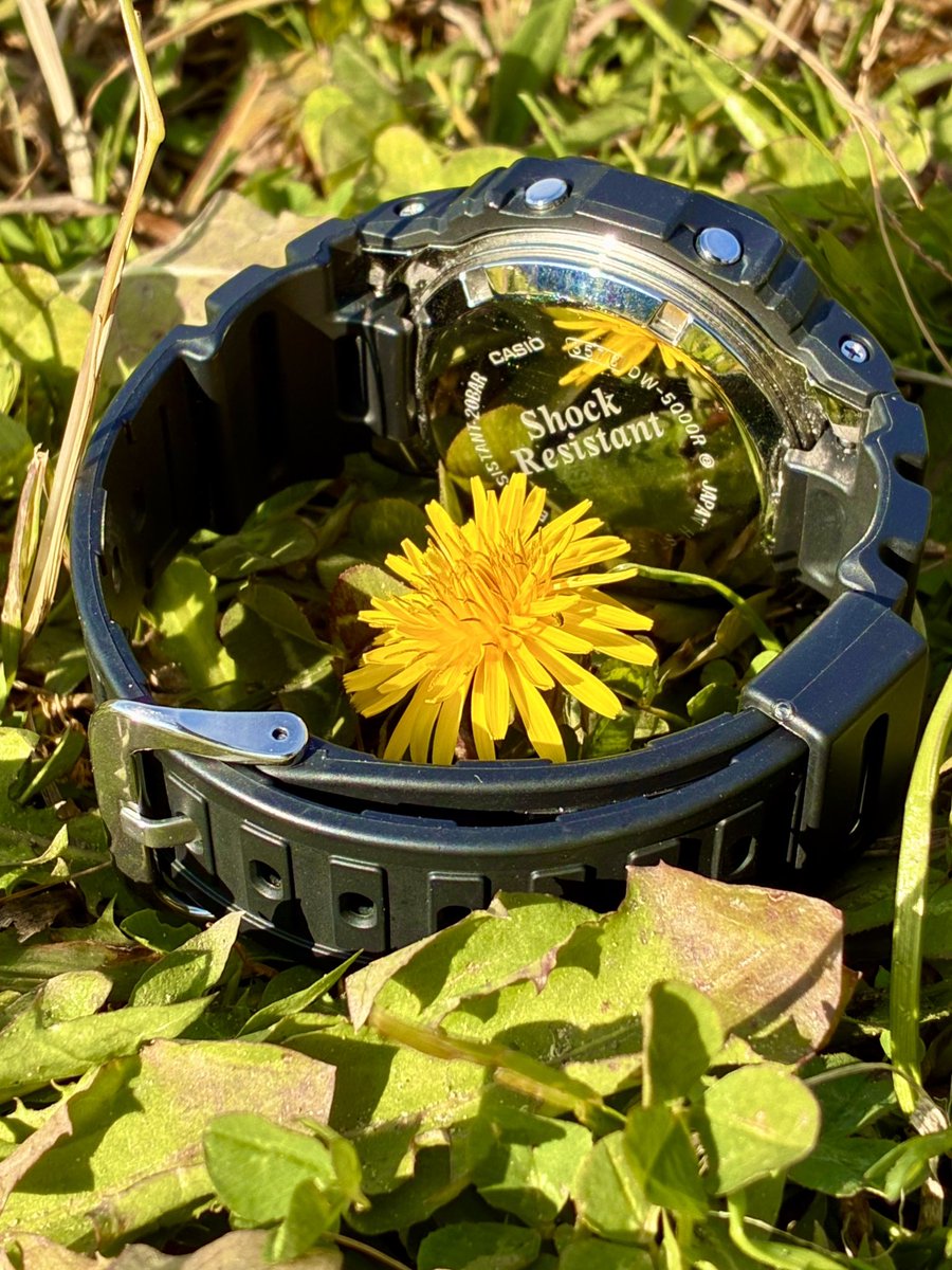dw5000r's tweet photo. 三連休の最終日、天気良かった〜
#GSHOCK 
#DW5000R https://t.co/OQexp0D8iK