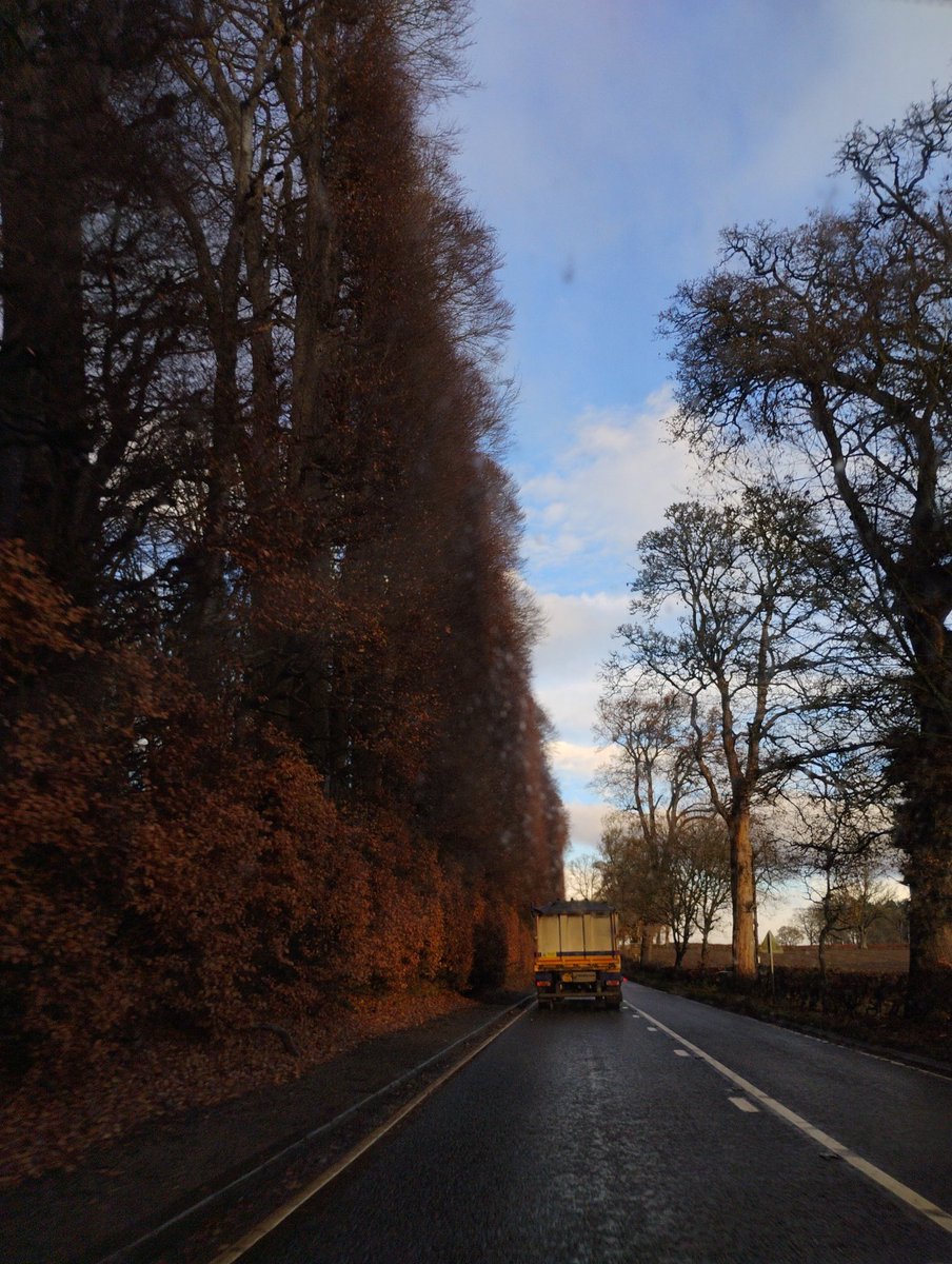 The Teacakeman (@teacakeman) on Twitter photo 