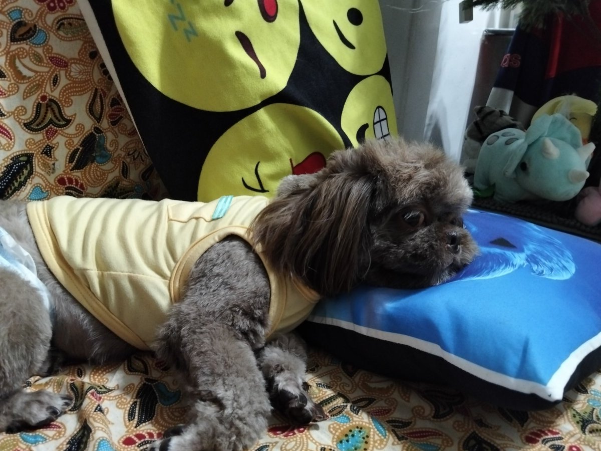 jeyyong_'s tweet image. Dami mong pagod??? 😂