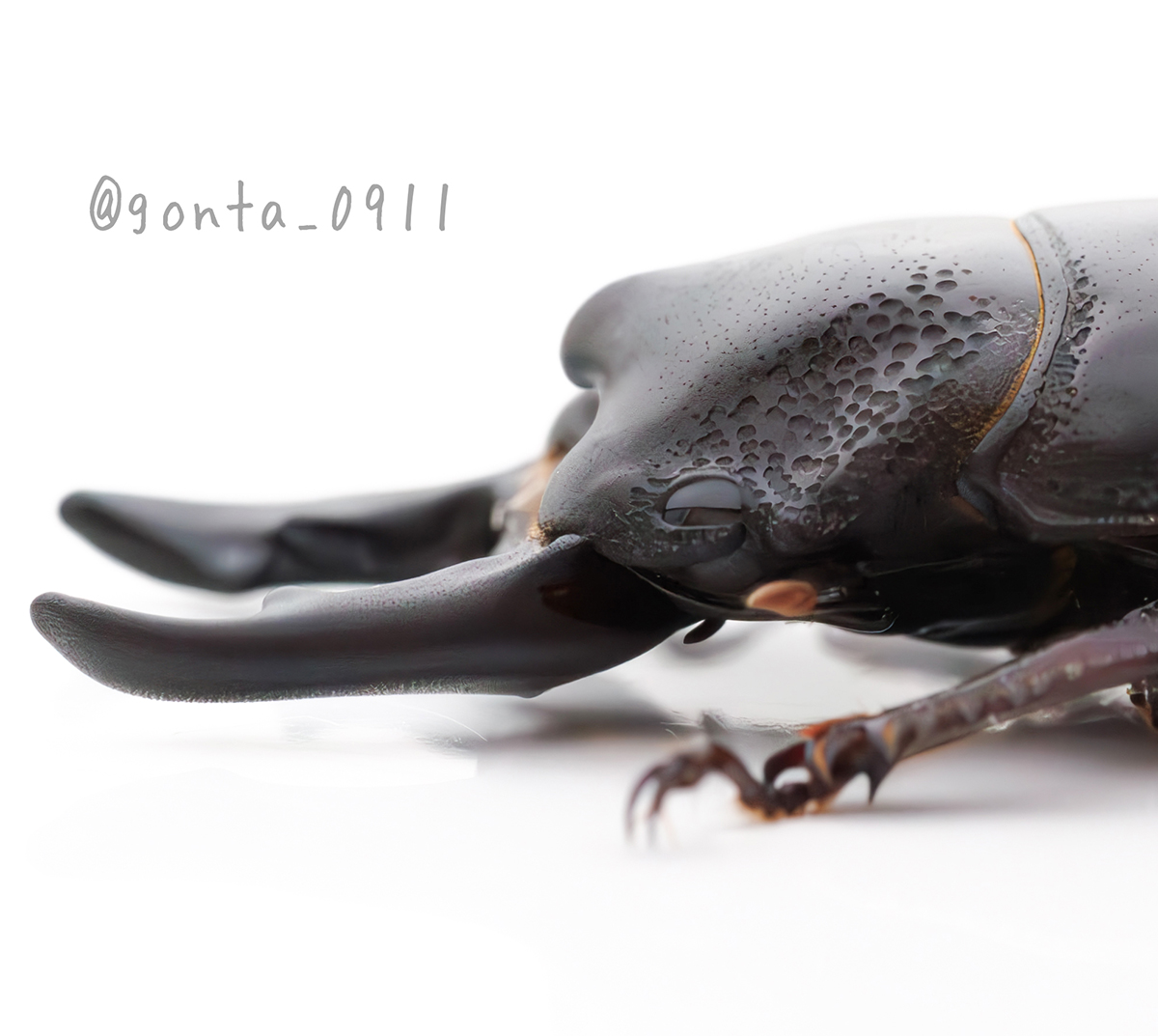 ヤヴカラヴォー (@8_bukara_vo) / Posts / X