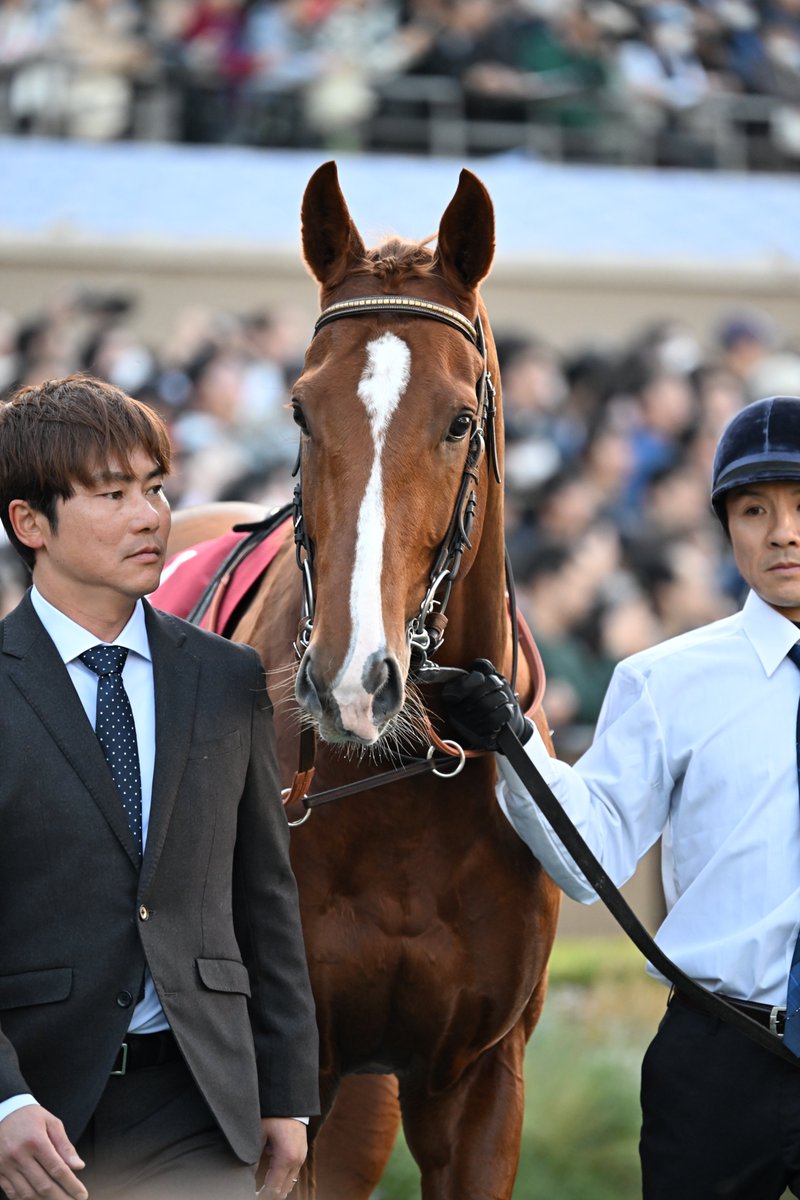 もんちゃん＠写真垢 (@mnch_pic) / Posts / X
