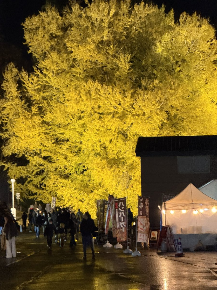 よいち (@Cg8fA28MG1Dty5i) / Posts / X