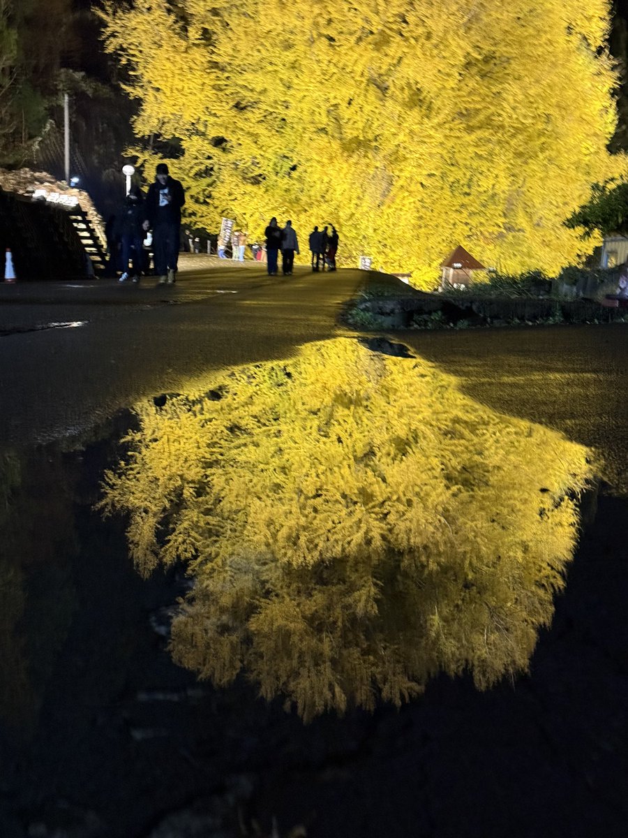 よいち よいち 夜よいち🌙🍒 (@YoruYoichi) / Posts / X