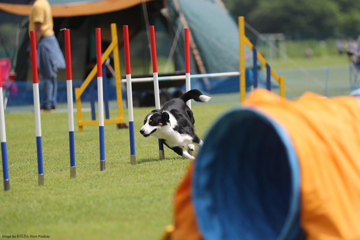 PeopleAlchemy's tweet image. Build your next learning programme the agile way peoplealchemy.com/blog/build-you… 
#MondayBlogs #learninganddevelopment #learningtransfer #trainingdevelopment