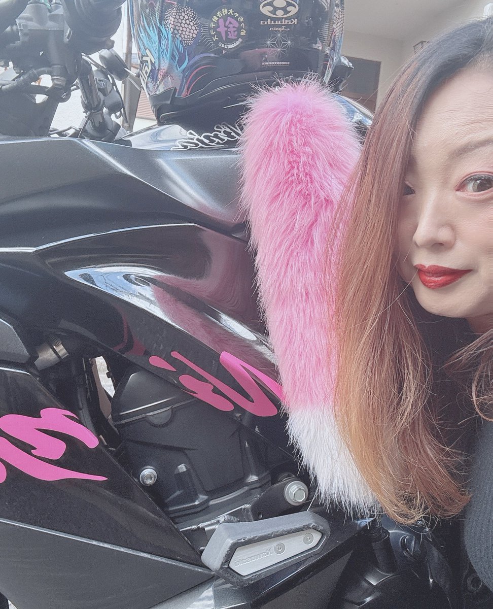 びーやん♡ Villain ZX4RR Via Mid Pipe Black – Zero One Moto Shop